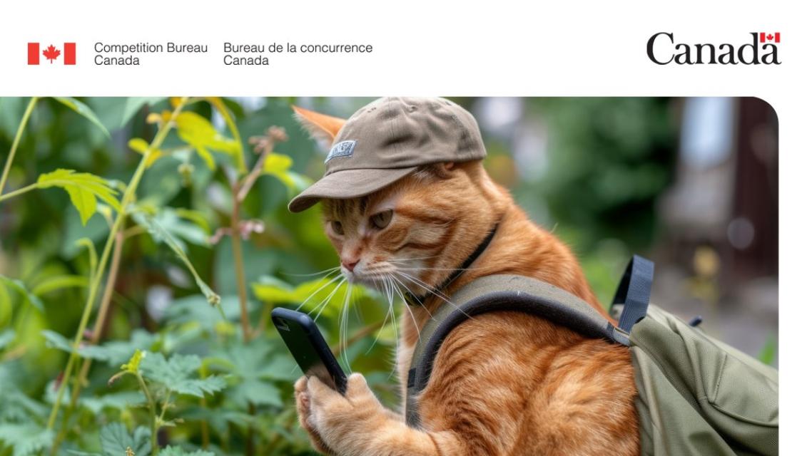 Image of an orange cat with a ball cap and knapsack using a cell phone in the woods.